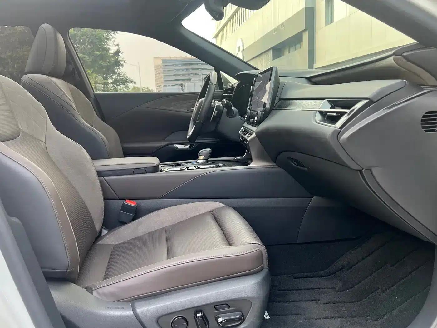 Lexus RX Hybrid 2023 450h+ AWD Enjoy Edition — миниатюра 10