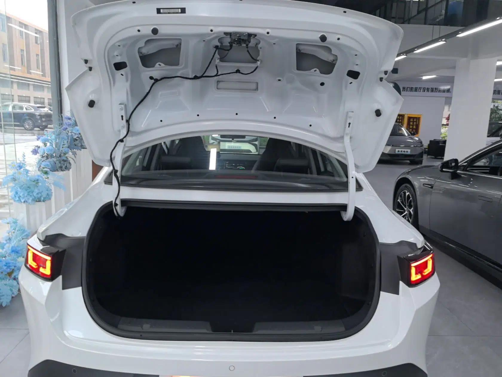 CHANGAN OSHAN 520 2025 Standard Edition — миниатюра 22