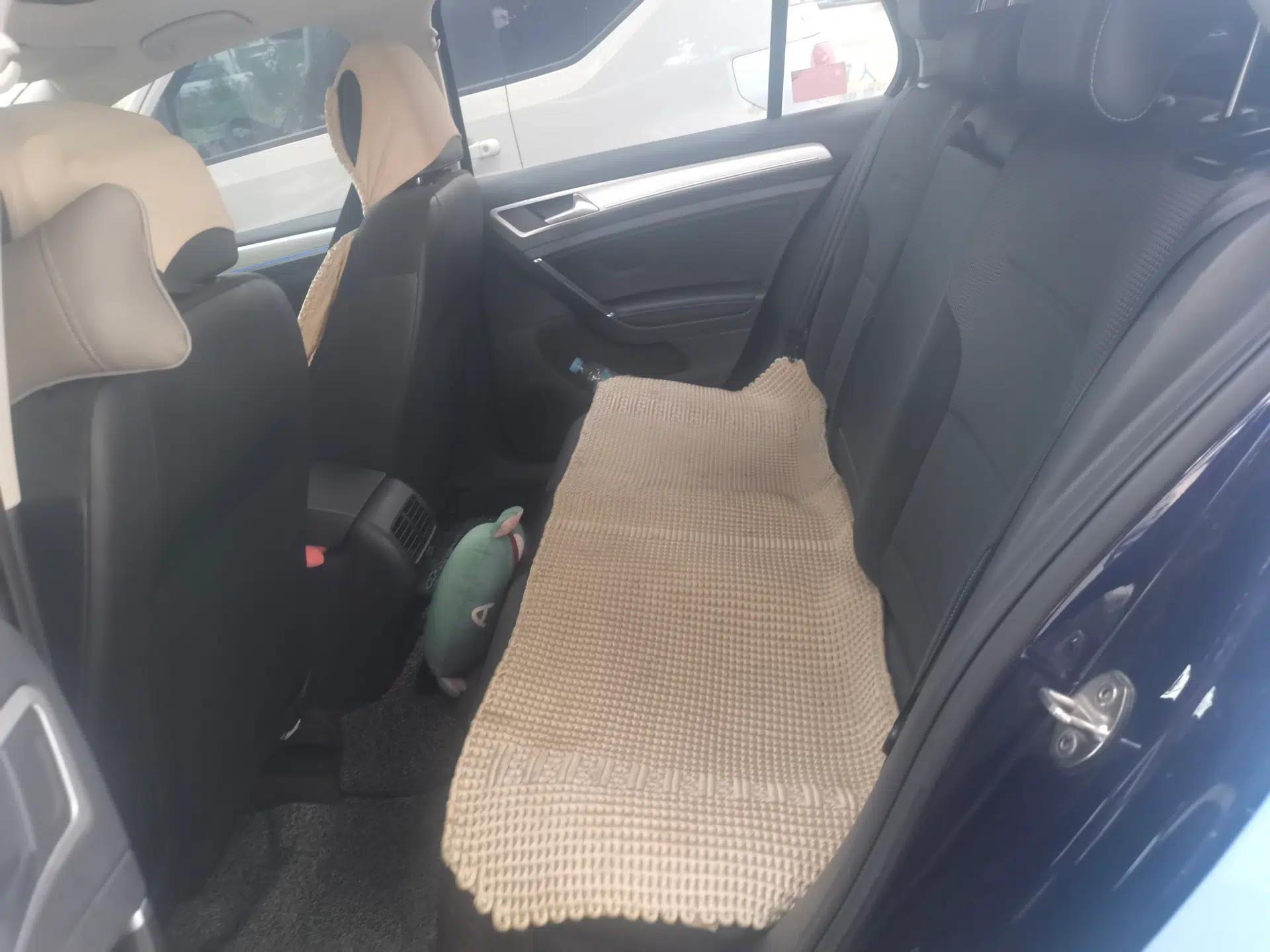 Volkswagen Golf Pure Electric 2020 Chari — миниатюра 12