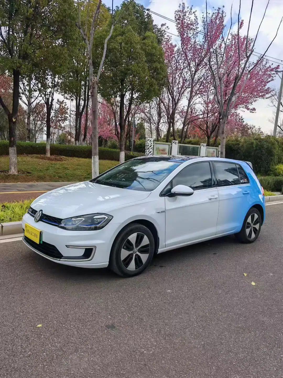 Volkswagen Golf Pure Electric 2020 Chari — миниатюра 6