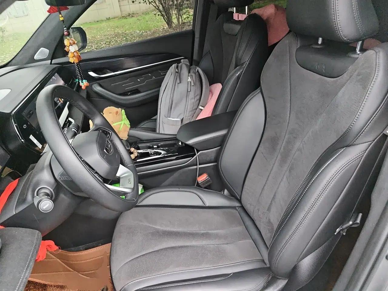 Geely Auto Monjaro L 2024 2.0TD High-Power Automatic Two-Wheel Drive Skyline Edition — миниатюра 15