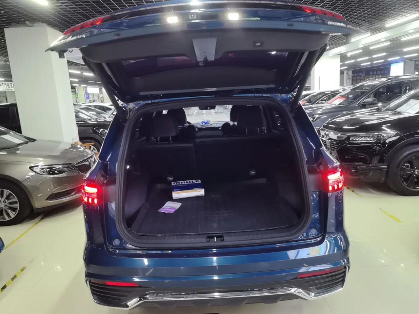 Geely Auto Monjaro L 2021 2.0TD DCT EVO Two-Wheel Drive Prestige Version — миниатюра 22