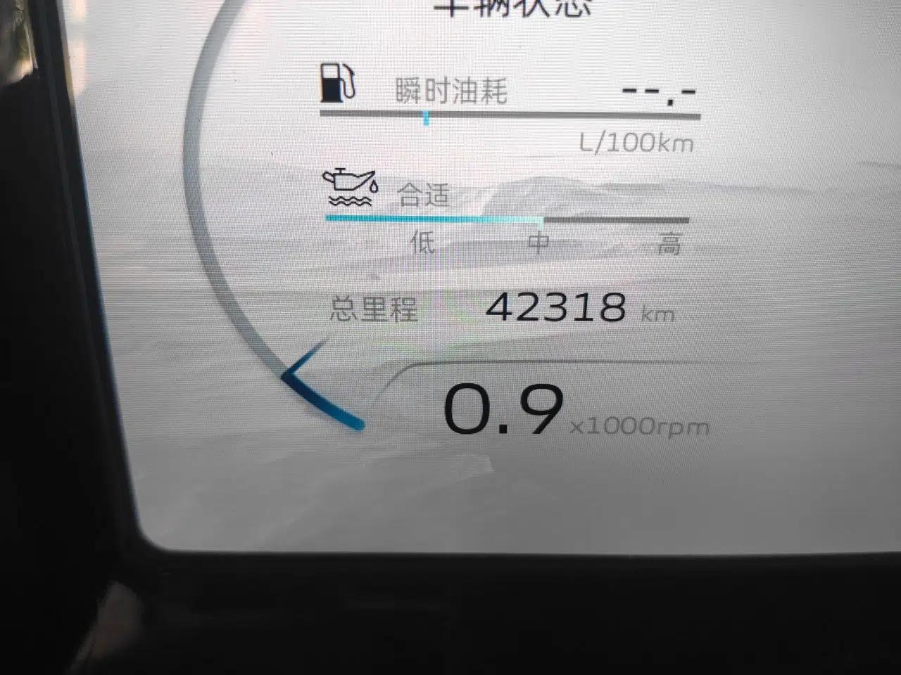 Geely Auto Monjaro L 2023 2.0TD High-Power Automatic Two-Wheel Drive Flagship Version — миниатюра 12