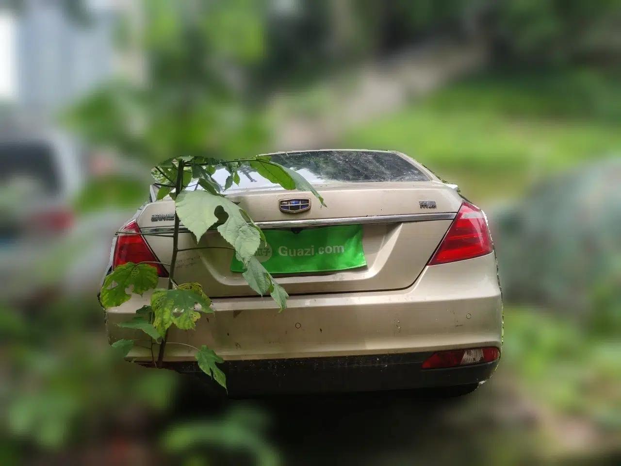 Geely Auto Emgrand 2017 Sedan Million Edition 1.5L Manual Luxury Model — миниатюра 5