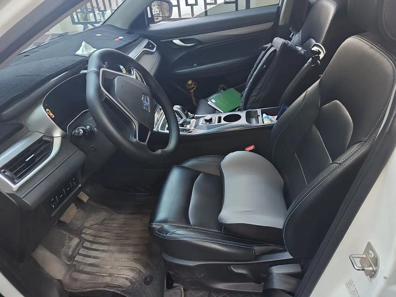 Geely Auto Emgrand New Energy 2018 EV450 Ambition Model — миниатюра 15