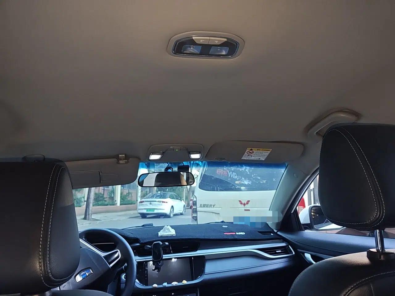 Geely Auto Emgrand New Energy 2018 EV450 Ambition Model — миниатюра 18