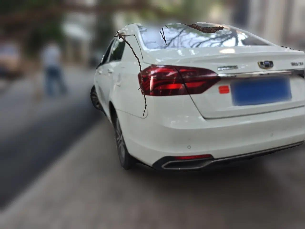 Geely Auto Emgrand New Energy 2018 EV450 Ambition Model — миниатюра 4