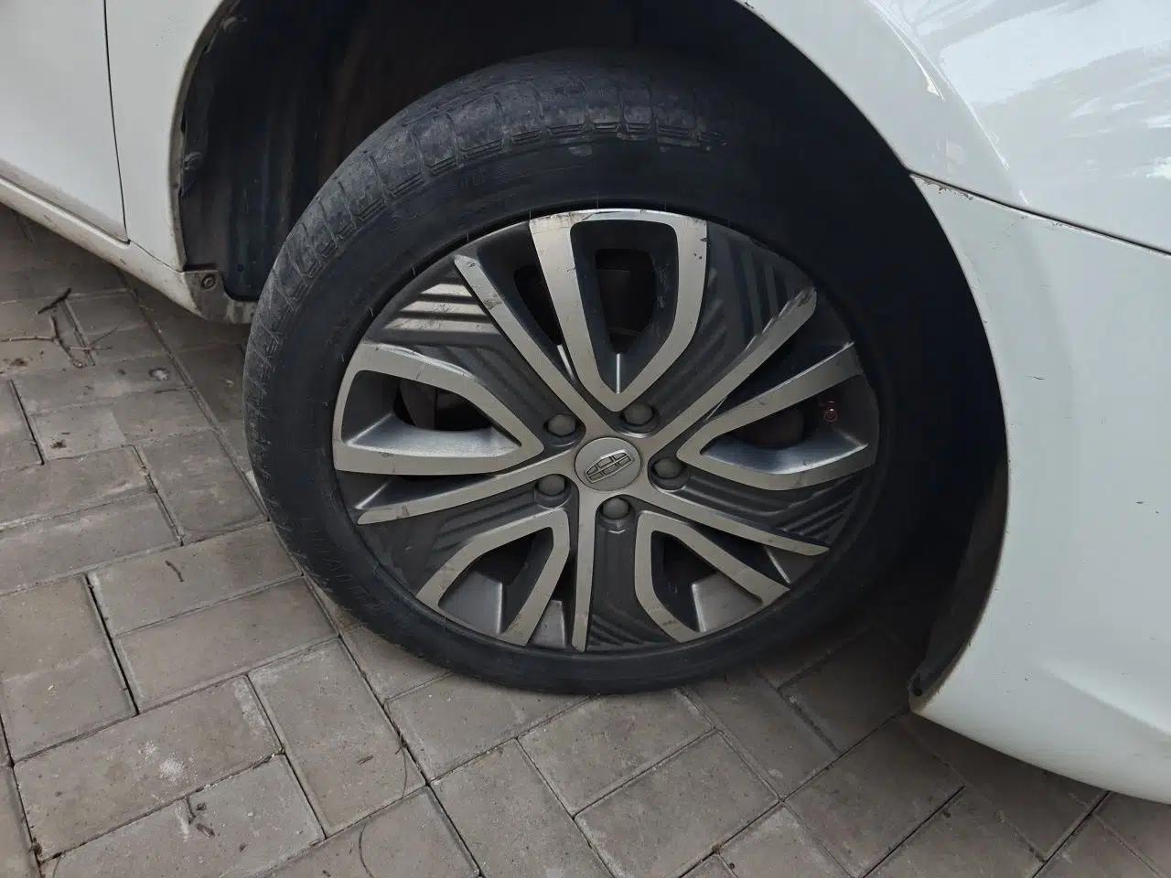 Geely Auto Emgrand New Energy 2018 EV450 Ambition Model — миниатюра 8