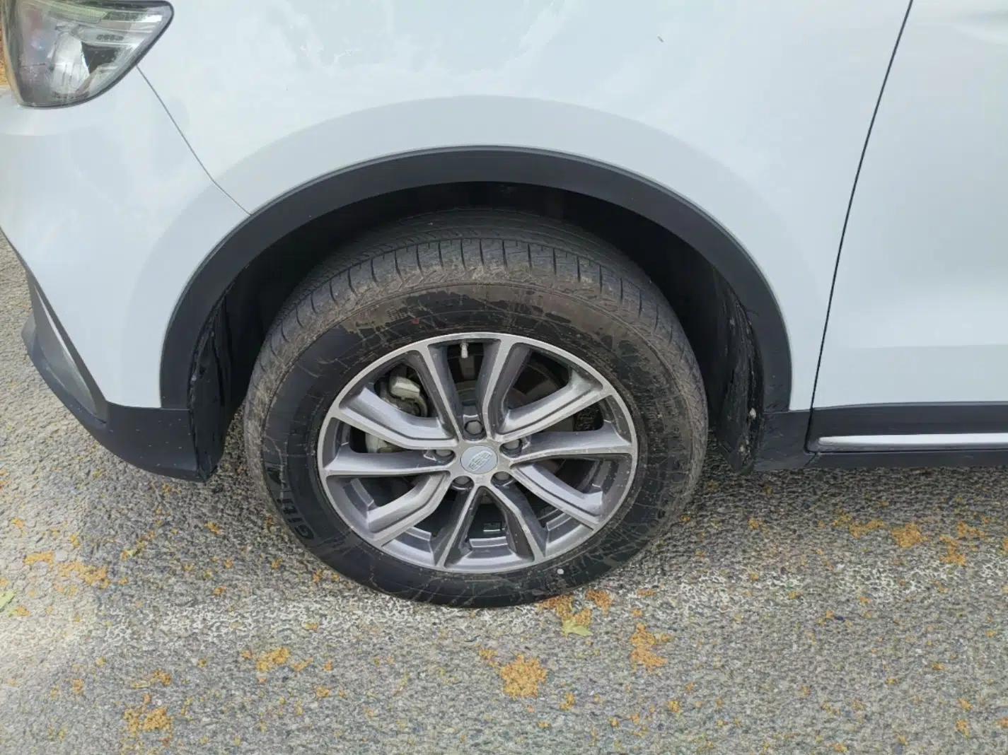 Geely Auto Emgrand X7 Sport 2020 1.8TD DCT Two-Wheel Drive Smart Connect 4G-Enabled Version — миниатюра 10