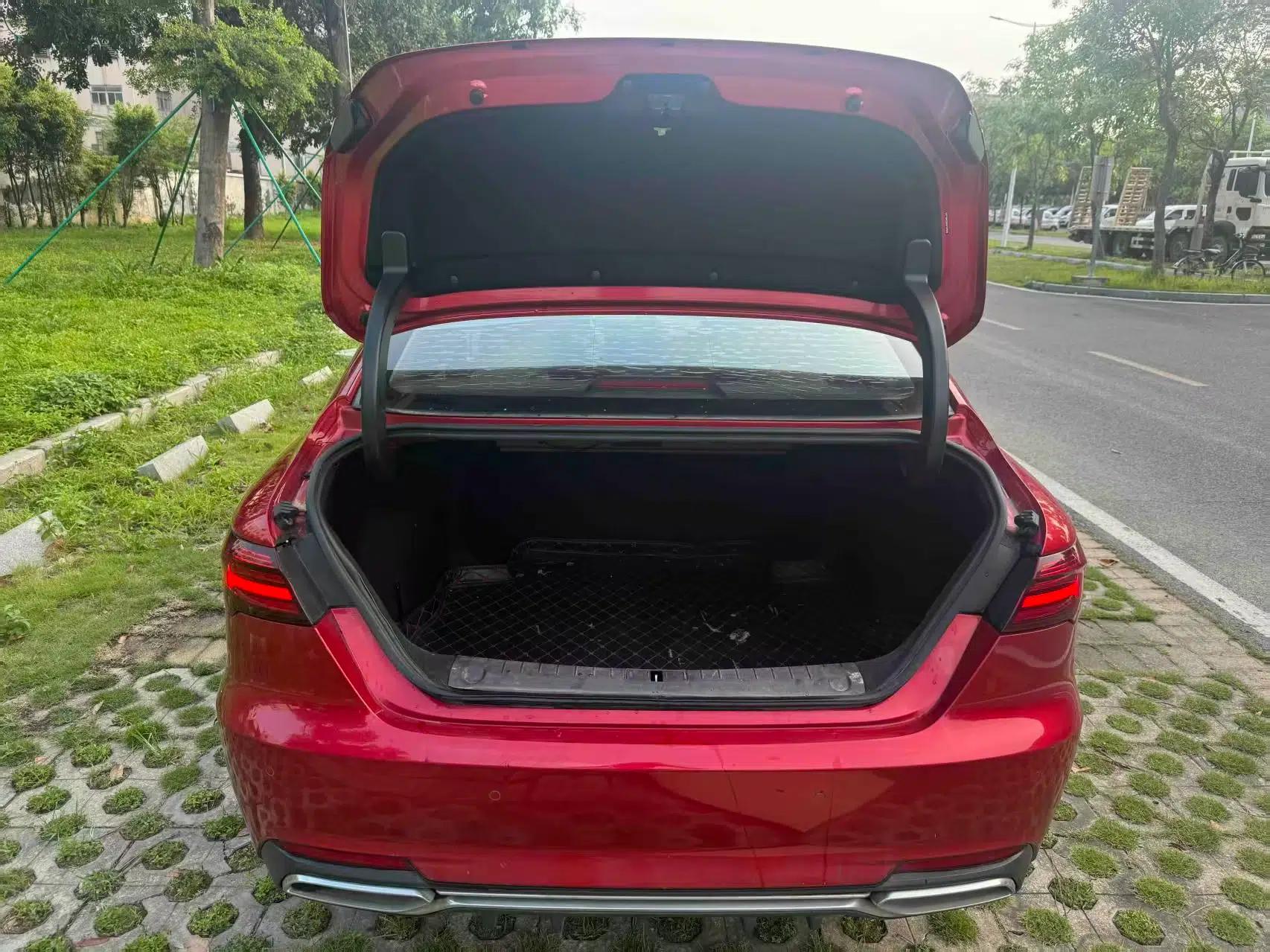 Geely Auto Binray 2019 200T DCT Binchi Edition — миниатюра 22