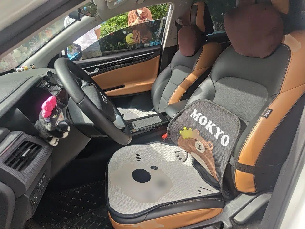 Geely Auto Emgrand GL 2020 1.4T CVT Luxury Model — миниатюра 15