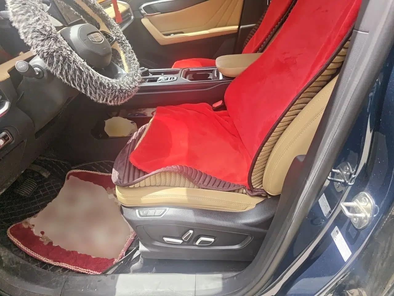 Geely Auto Haoyue L 2023 2.0T DCT Flagship Version — миниатюра 15