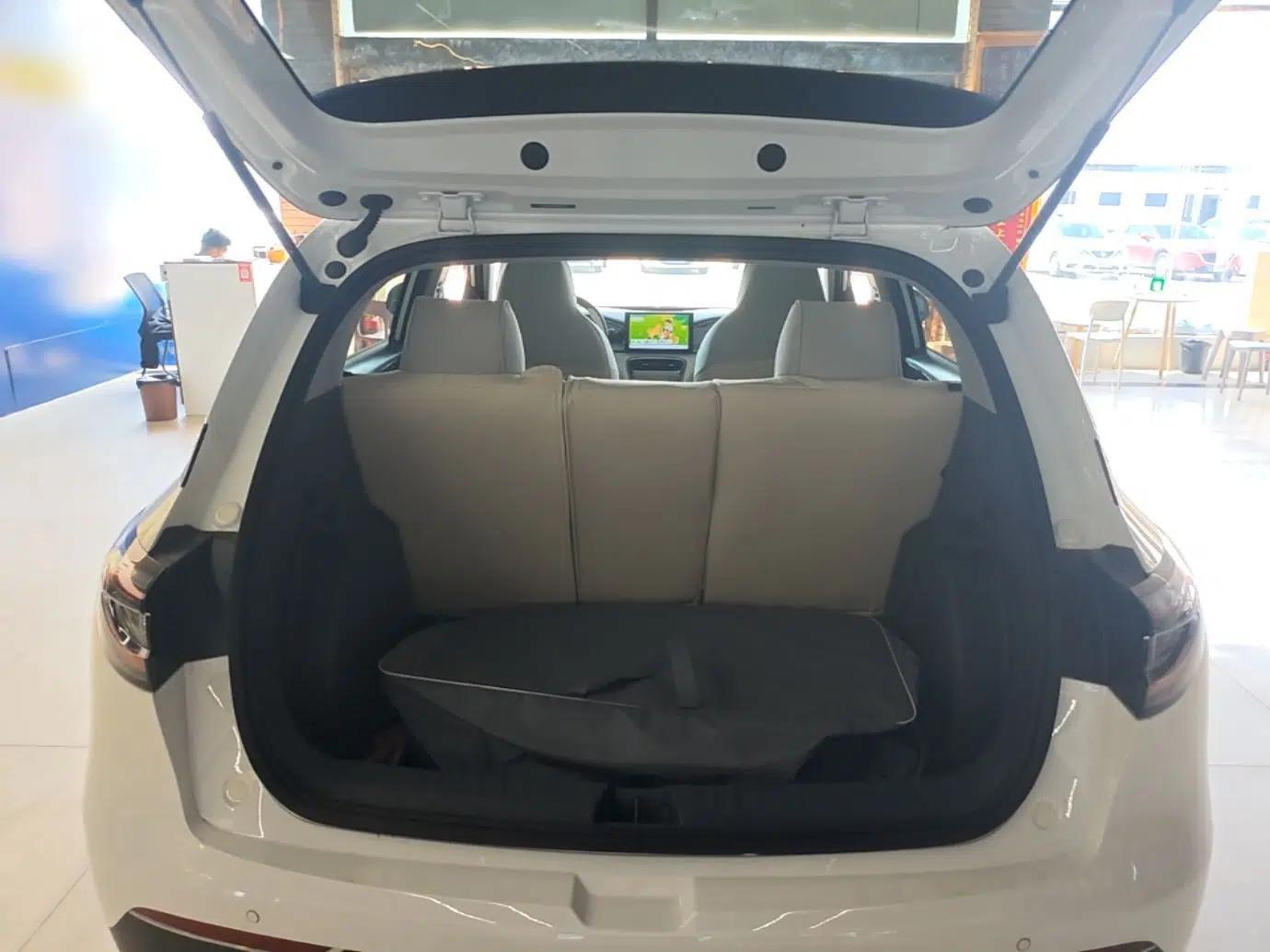 Geely Galaxy Geome 2025 310km Youth Edition — миниатюра 22
