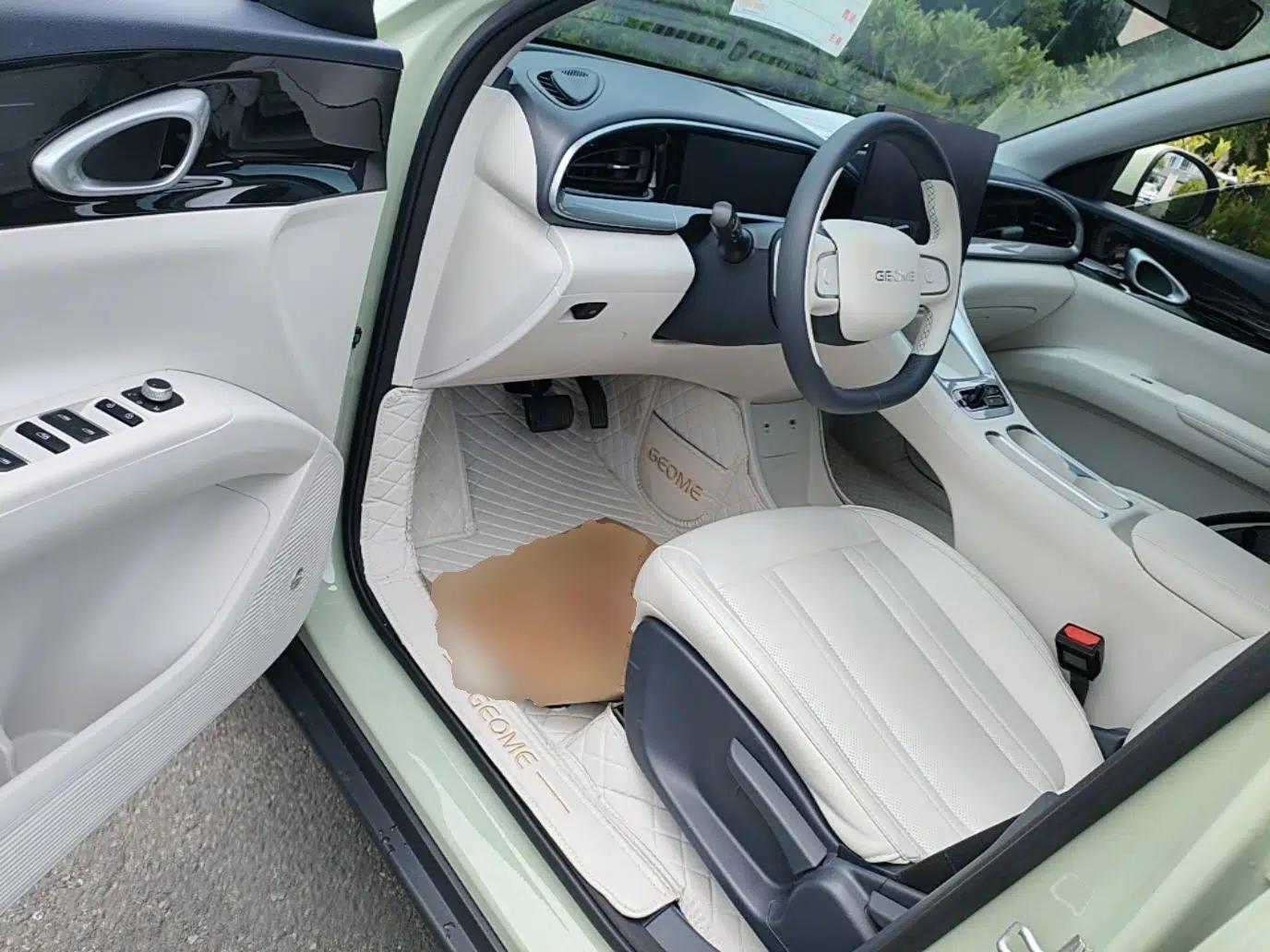 Geely Galaxy Geome 2025 310km Dream Edition — миниатюра 18
