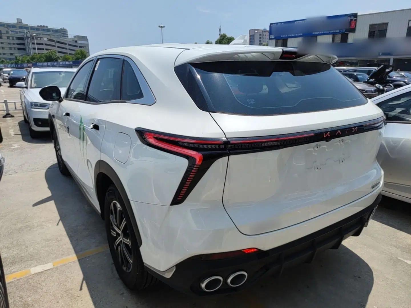 Cowin Kunlun 2024 1.6T Plateau Edition 5 Seats — миниатюра 4