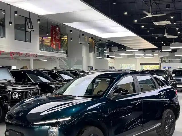 Xinghai T5 2026 Model 530km Premium Edition