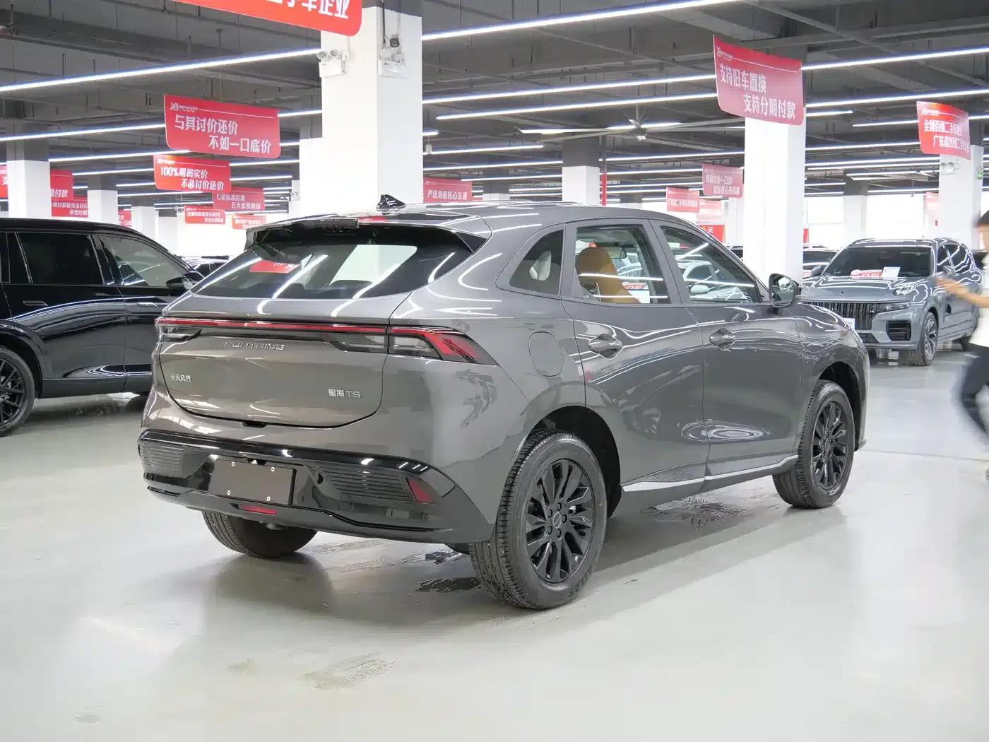 Xinghai T5 2026 Model 530km Premium Edition — миниатюра 16