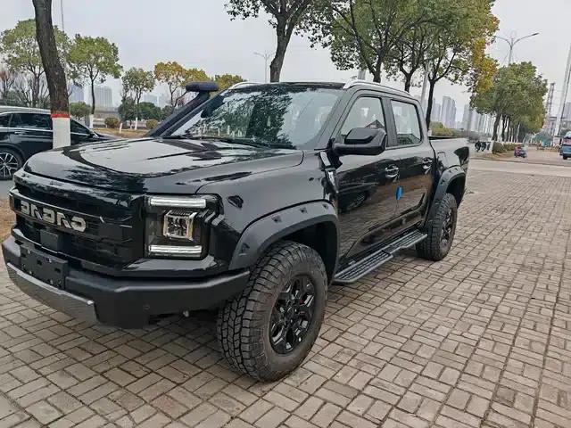 Dadao 2024 Daring Explorer 2.3T Diesel Automatic 4WD Unlimited Edition