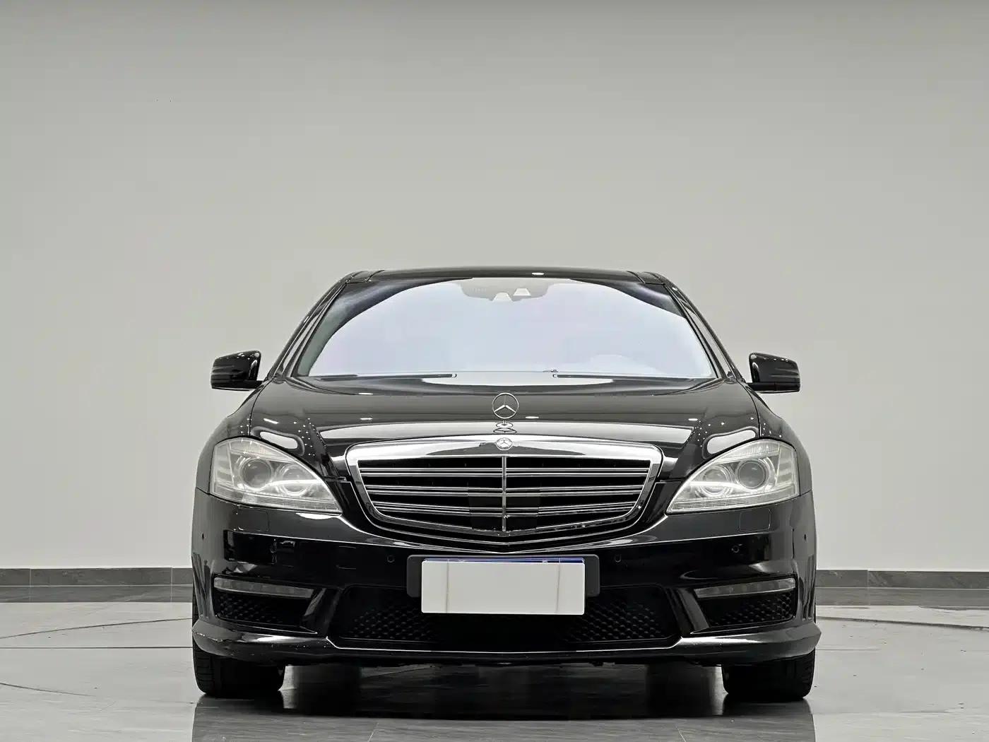 2010 Mercedes-Benz S-Class AMG S 65 — миниатюра 2