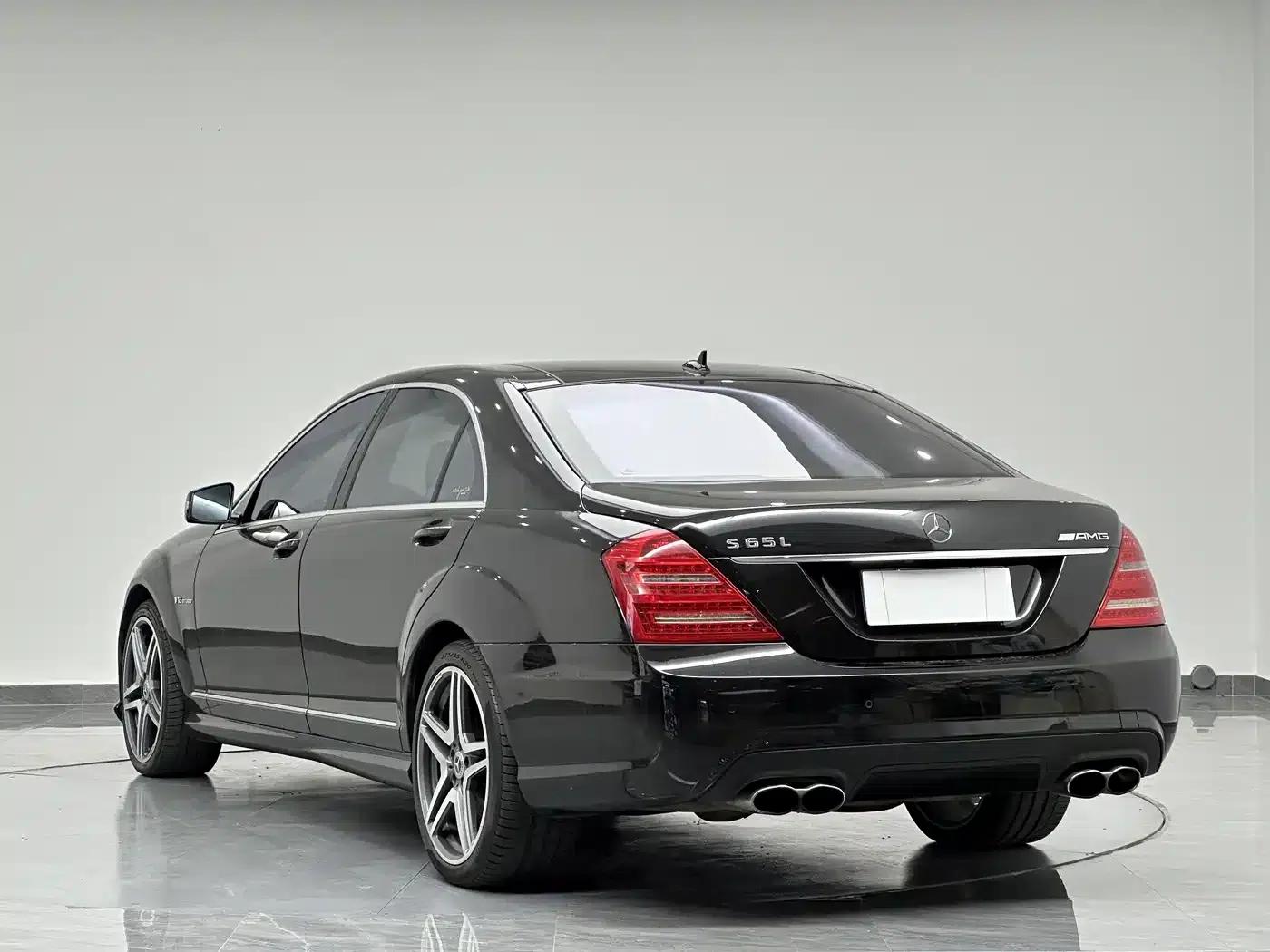 2010 Mercedes-Benz S-Class AMG S 65 — миниатюра 6