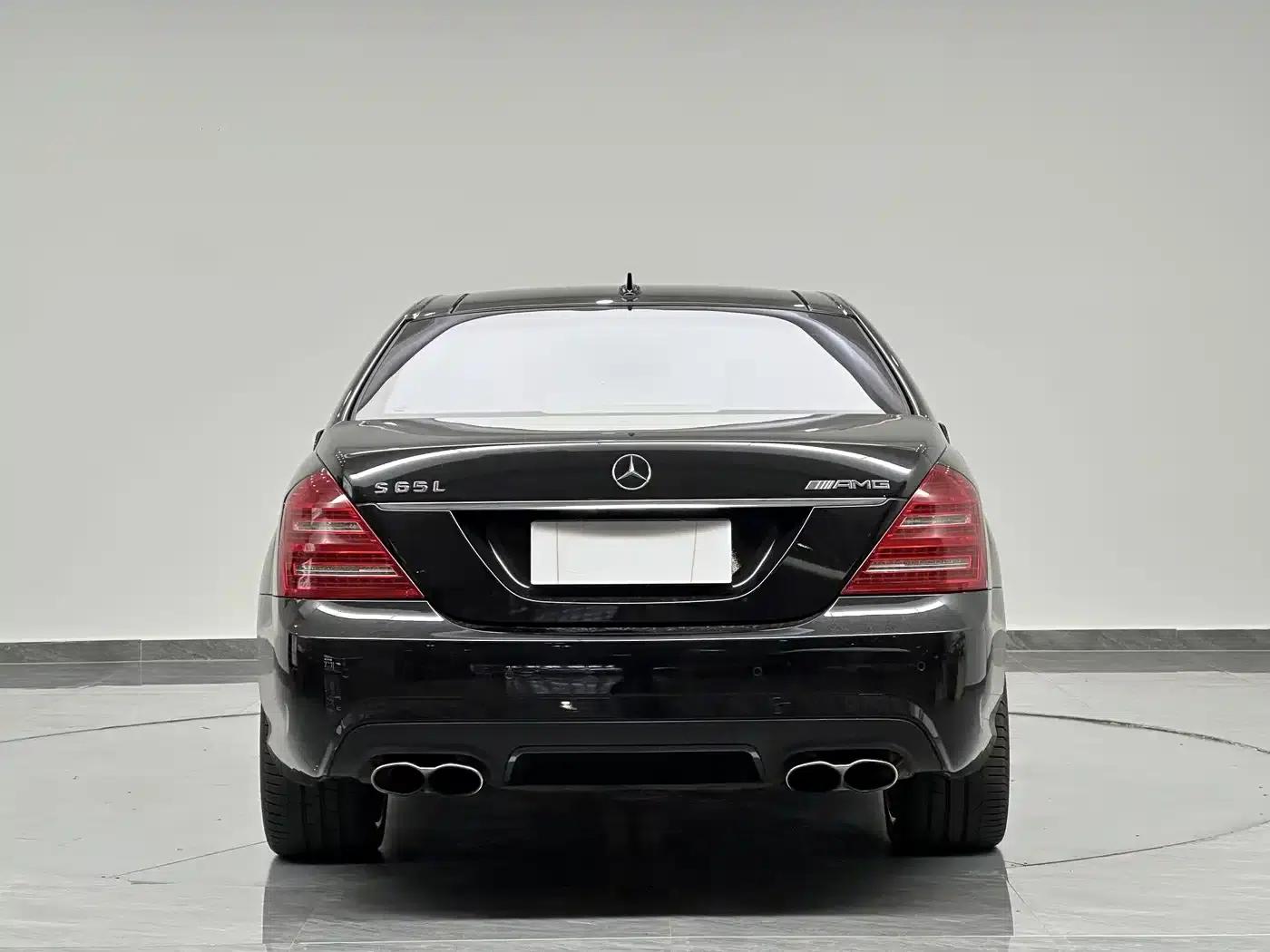 2010 Mercedes-Benz S-Class AMG S 65 — миниатюра 8
