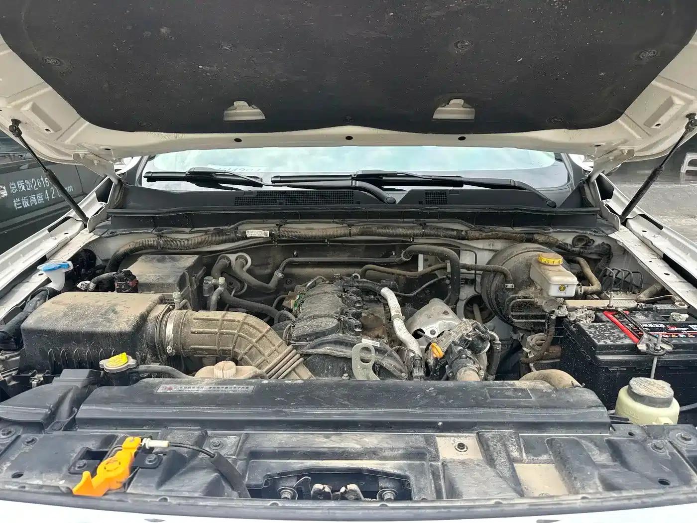 Palazzo 2021 1.8T Manual 4WD Premium Edition — миниатюра 12