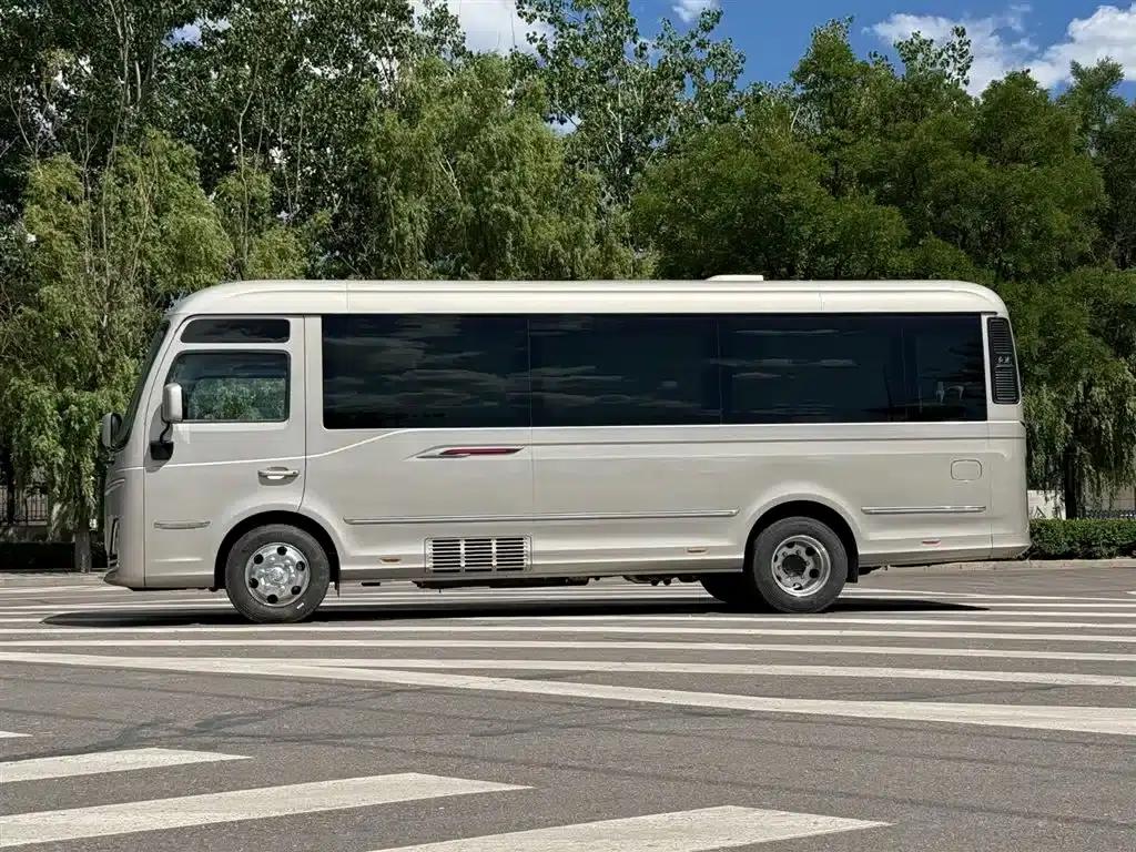 Hongqi Golden Sunflower Guoyue 2024 3.0T Luxury Edition 17-seater — миниатюра 4