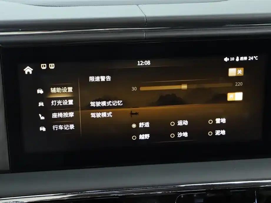 Hongqi Golden Sunflower National Glory 2022 4.0T Premium Flagship Edition 4-seater — миниатюра 16