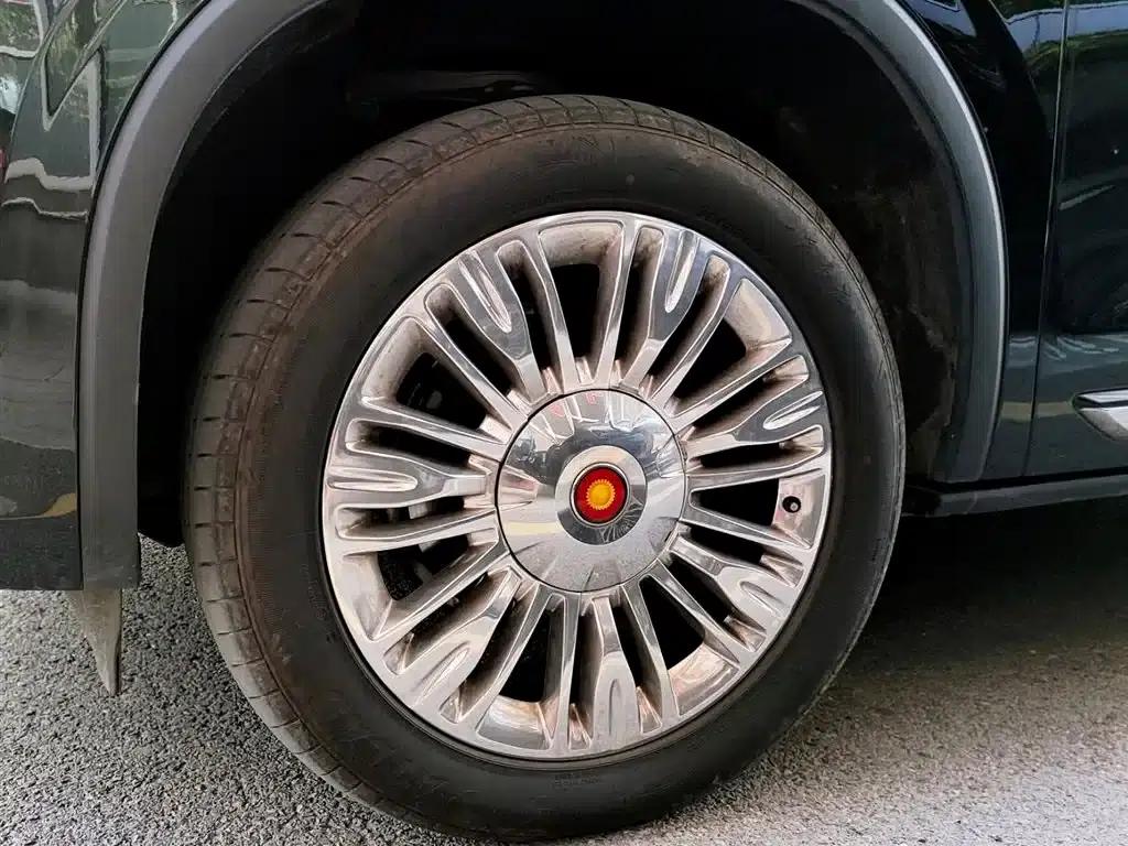 Hongqi Golden Sunflower National Glory 2022 4.0T Premium Flagship Edition 4-seater — миниатюра 30