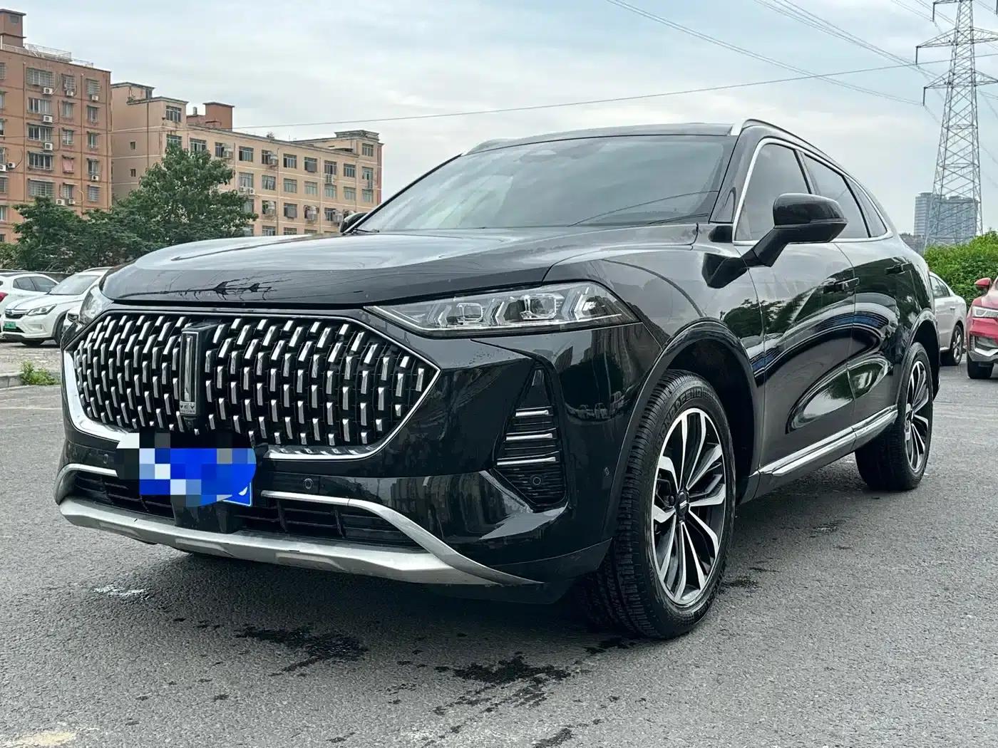 Wei brand Mocha 2021 2.0T 2WD Extra Rich Edition — миниатюра 1