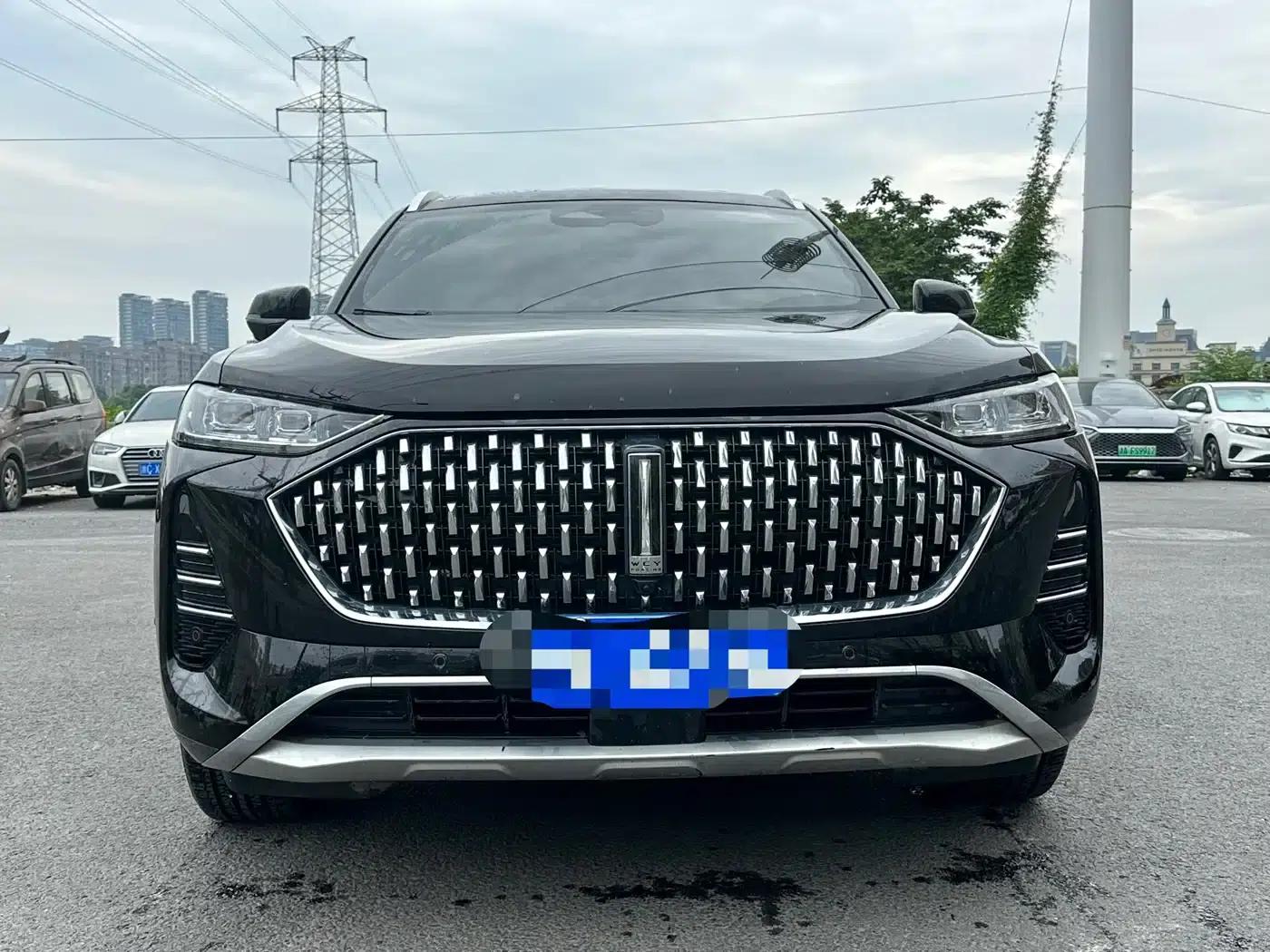 Wei brand Mocha 2021 2.0T 2WD Extra Rich Edition — миниатюра 2