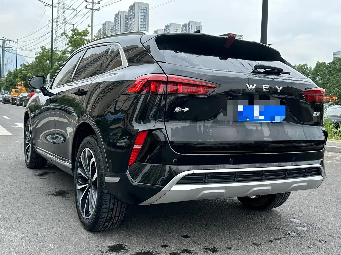 Wei brand Mocha 2021 2.0T 2WD Extra Rich Edition — миниатюра 21
