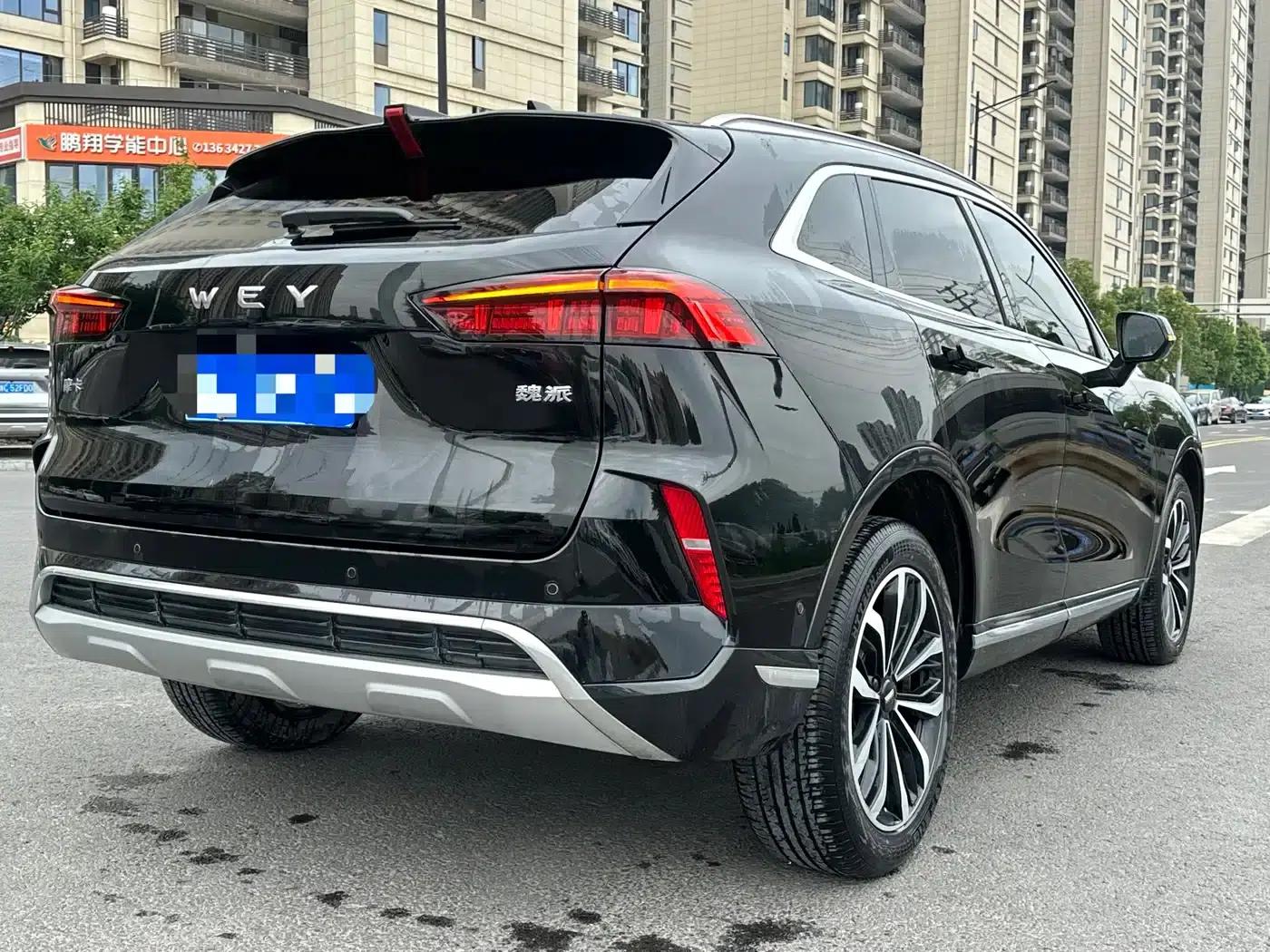 Wei brand Mocha 2021 2.0T 2WD Extra Rich Edition — миниатюра 23