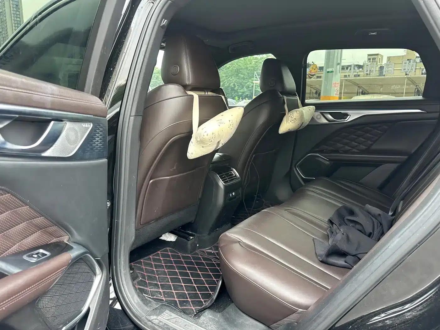 Wei brand Mocha 2021 2.0T 2WD Extra Rich Edition — миниатюра 6