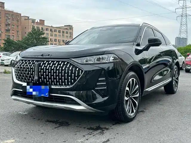 Wei brand Mocha 2021 2.0T 2WD Extra Rich Edition