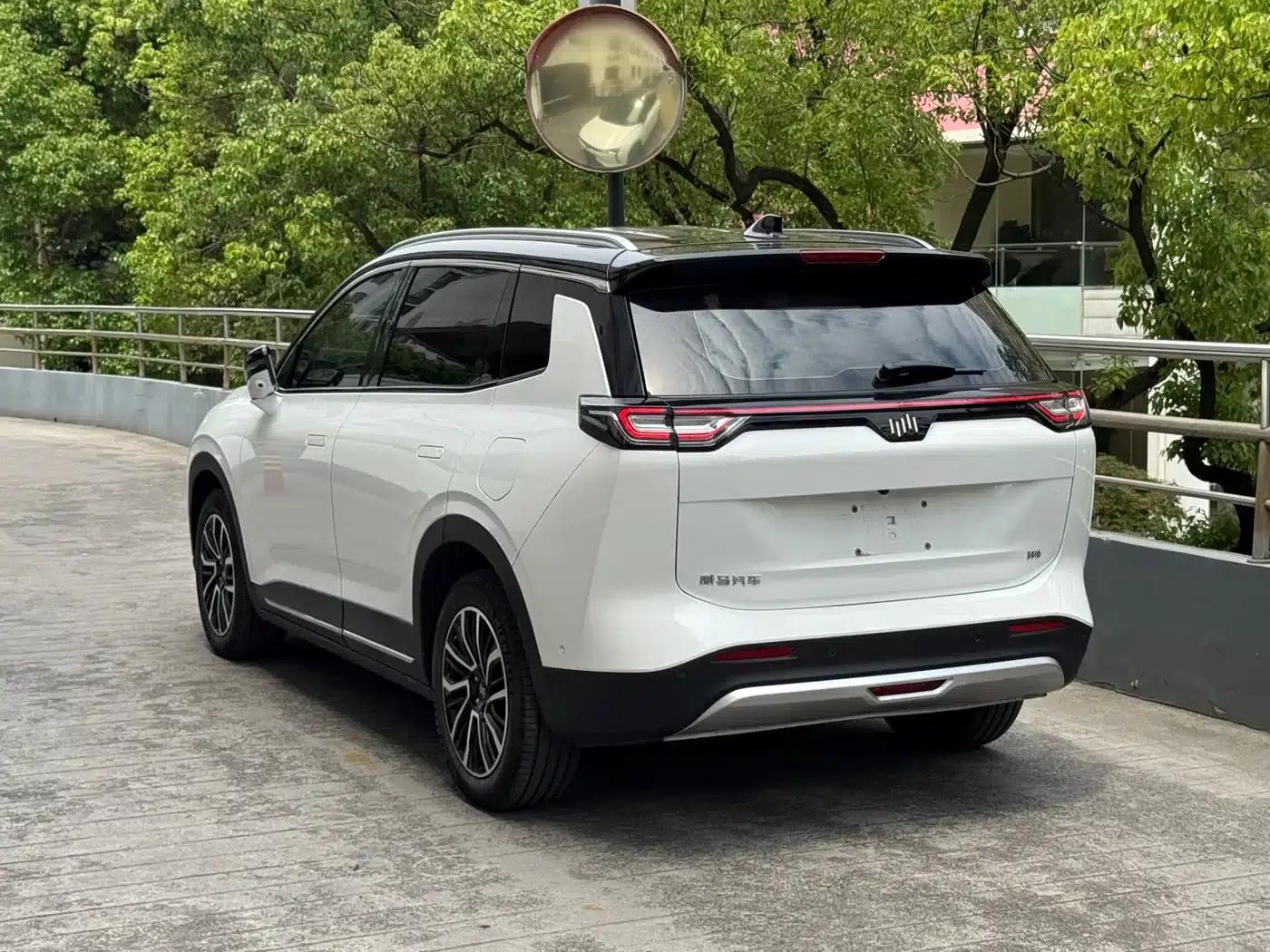 Weltmeister W6 2021 520km ACE Intelligent Edition — миниатюра 3