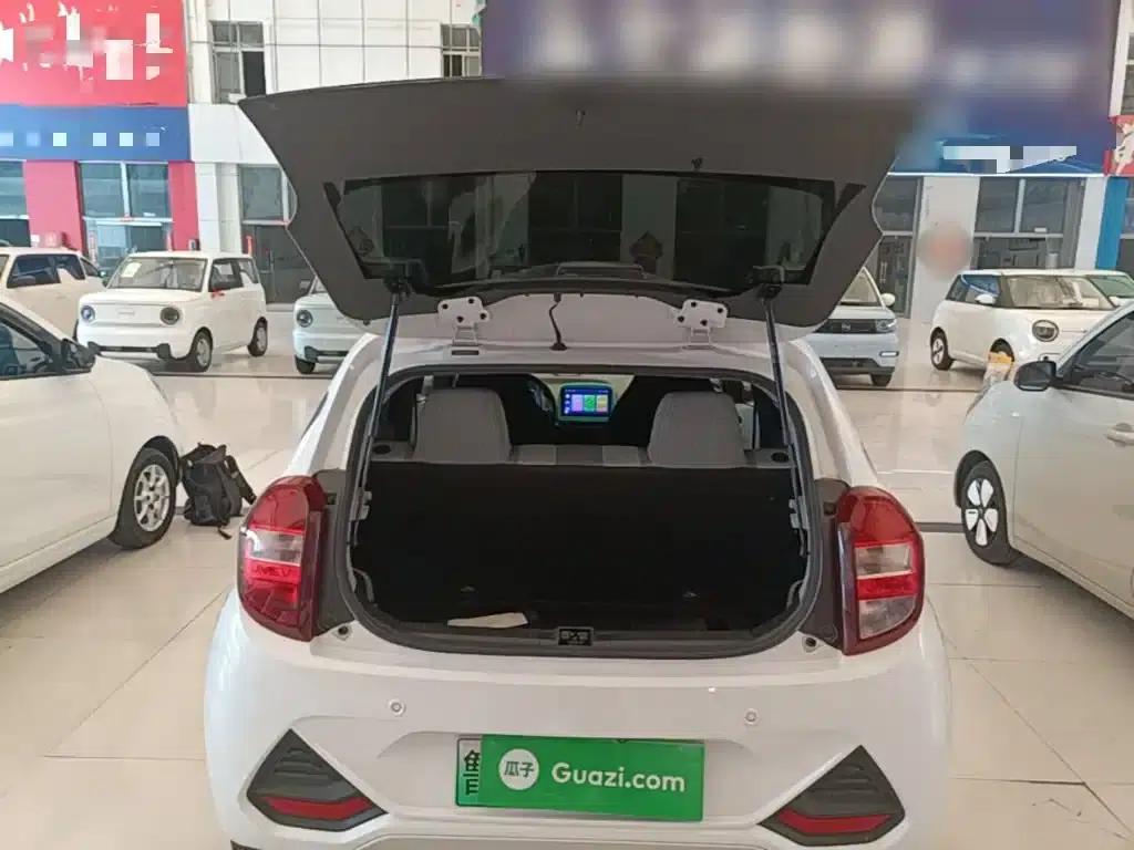 Yizhi EV2 2023 Auspicious Edition 201km Comfort Model — миниатюра 19