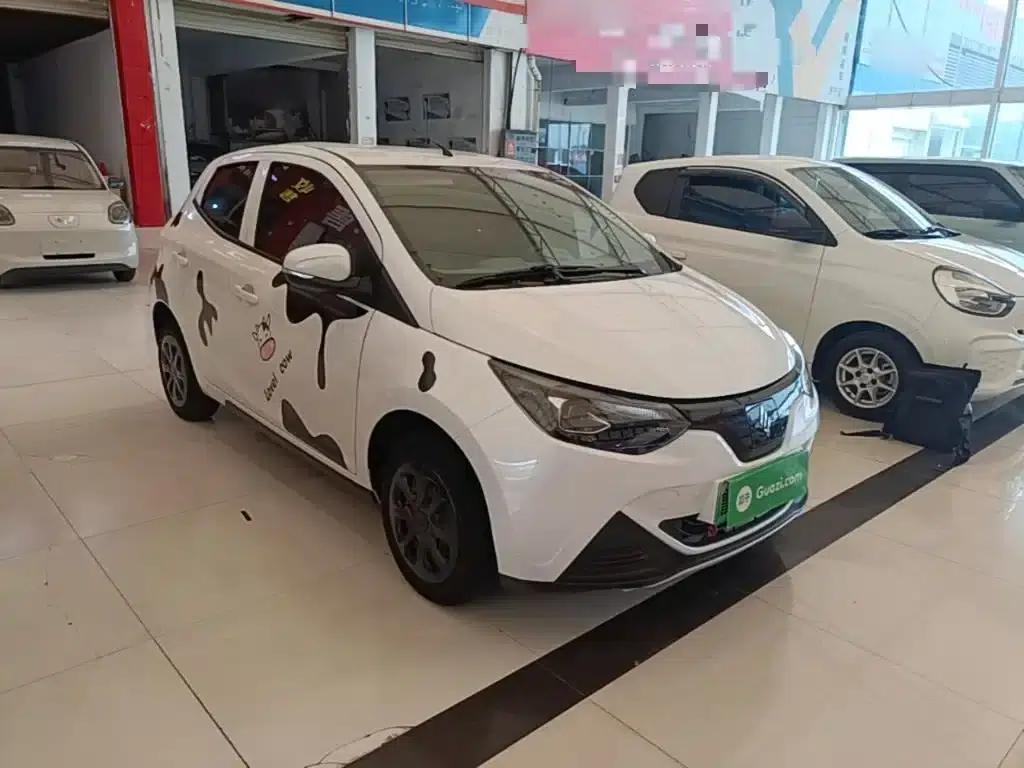 Yizhi EV2 2023 Auspicious Edition 201km Comfort Model — миниатюра 4
