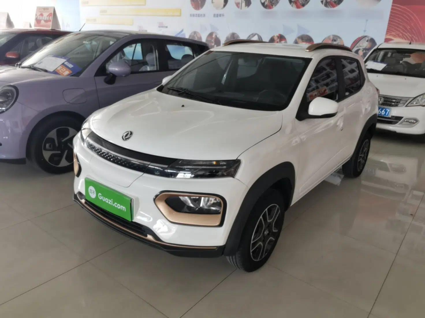 Dongfeng NAMMI BOX 2022 Revised Light Wind Edition 201 km Standard Version — миниатюра 1