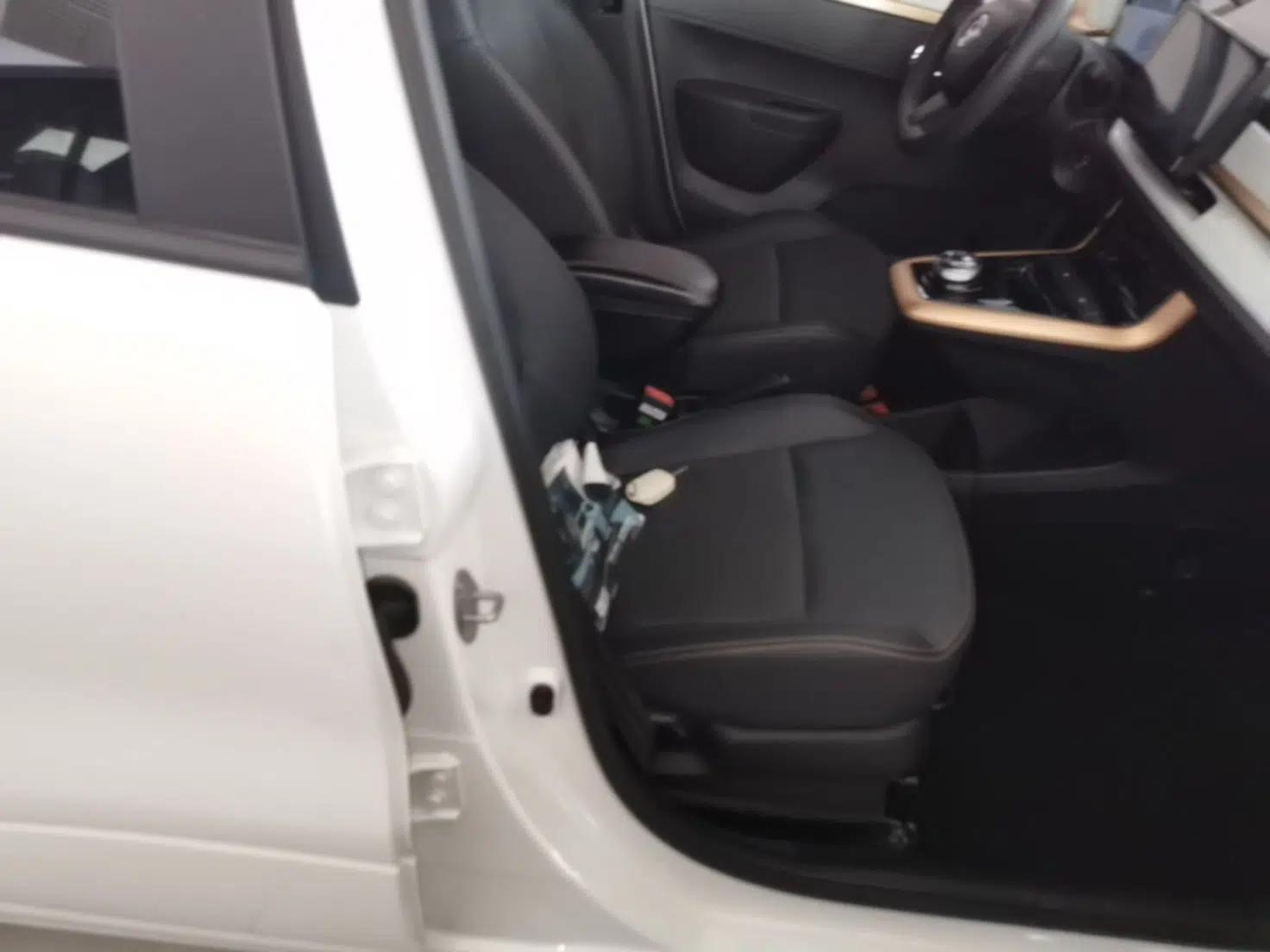Dongfeng NAMMI BOX 2022 Revised Light Wind Edition 201 km Standard Version — миниатюра 24