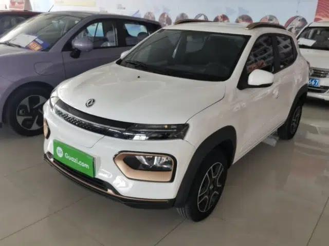 Dongfeng NAMMI BOX 2022 Revised Light Wind Edition 201 km Standard Version
