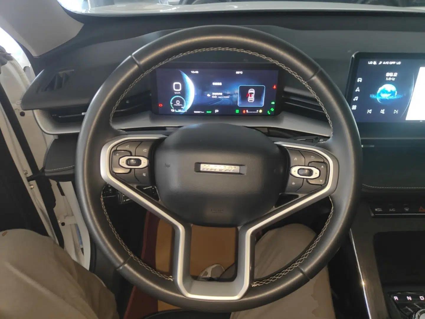 Haval H6 New Energy 2023 DHT-PHEV 110KM Enjoyment Edition — миниатюра 13