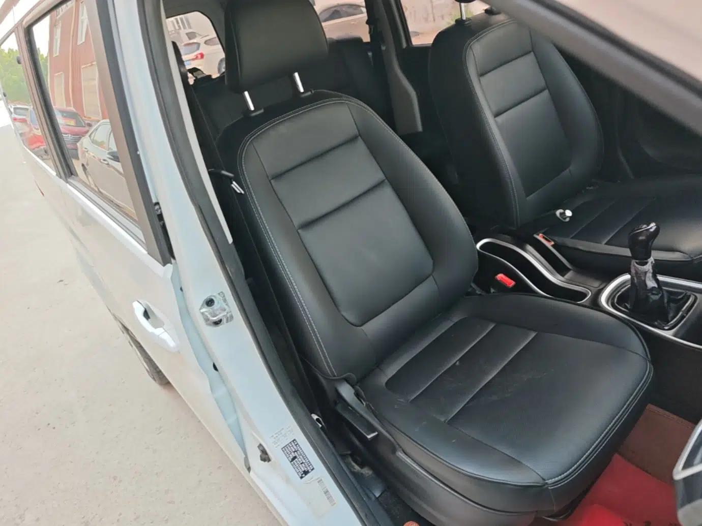 Jinbei Gold Hiace M Classic 2022 Panda Edition 1.5L Travel Lion Passenger Van 5 Seats — миниатюра 24