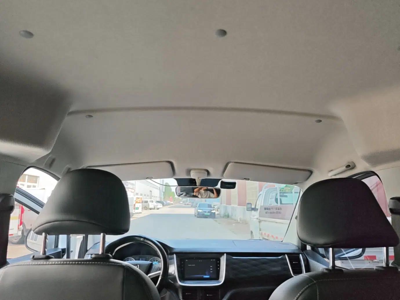 Jinbei Gold Hiace M Classic 2022 Panda Edition 1.5L Travel Lion Passenger Van 5 Seats — миниатюра 26
