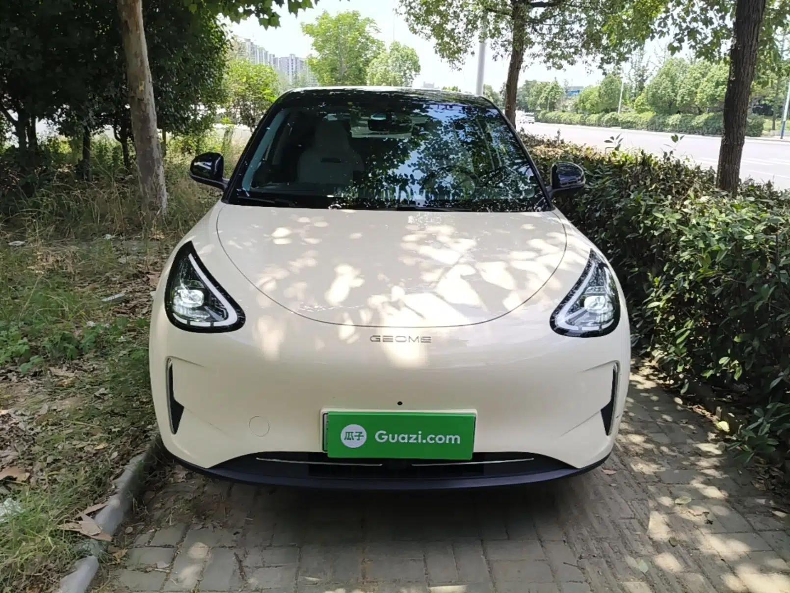 Geely Galaxy Geome 2025 310km Dream Edition — миниатюра 2