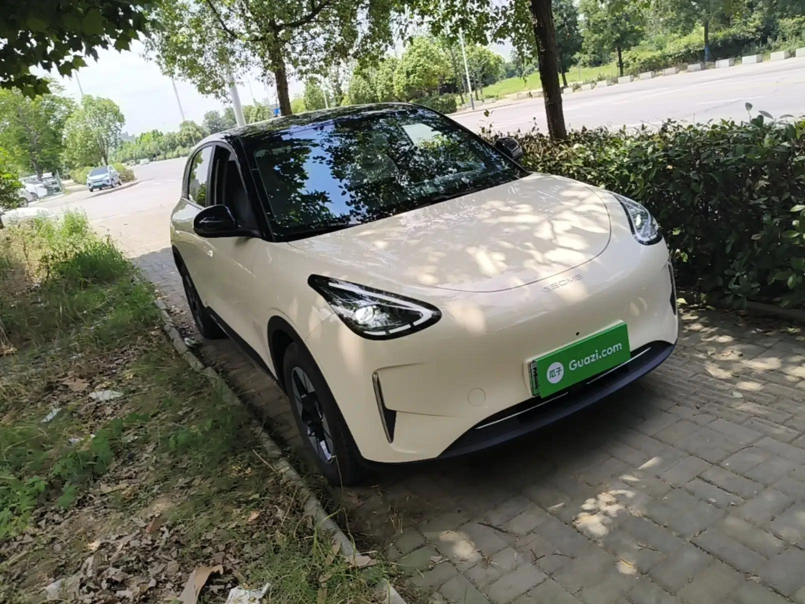 Geely Galaxy Geome 2025 310km Dream Edition — миниатюра 3