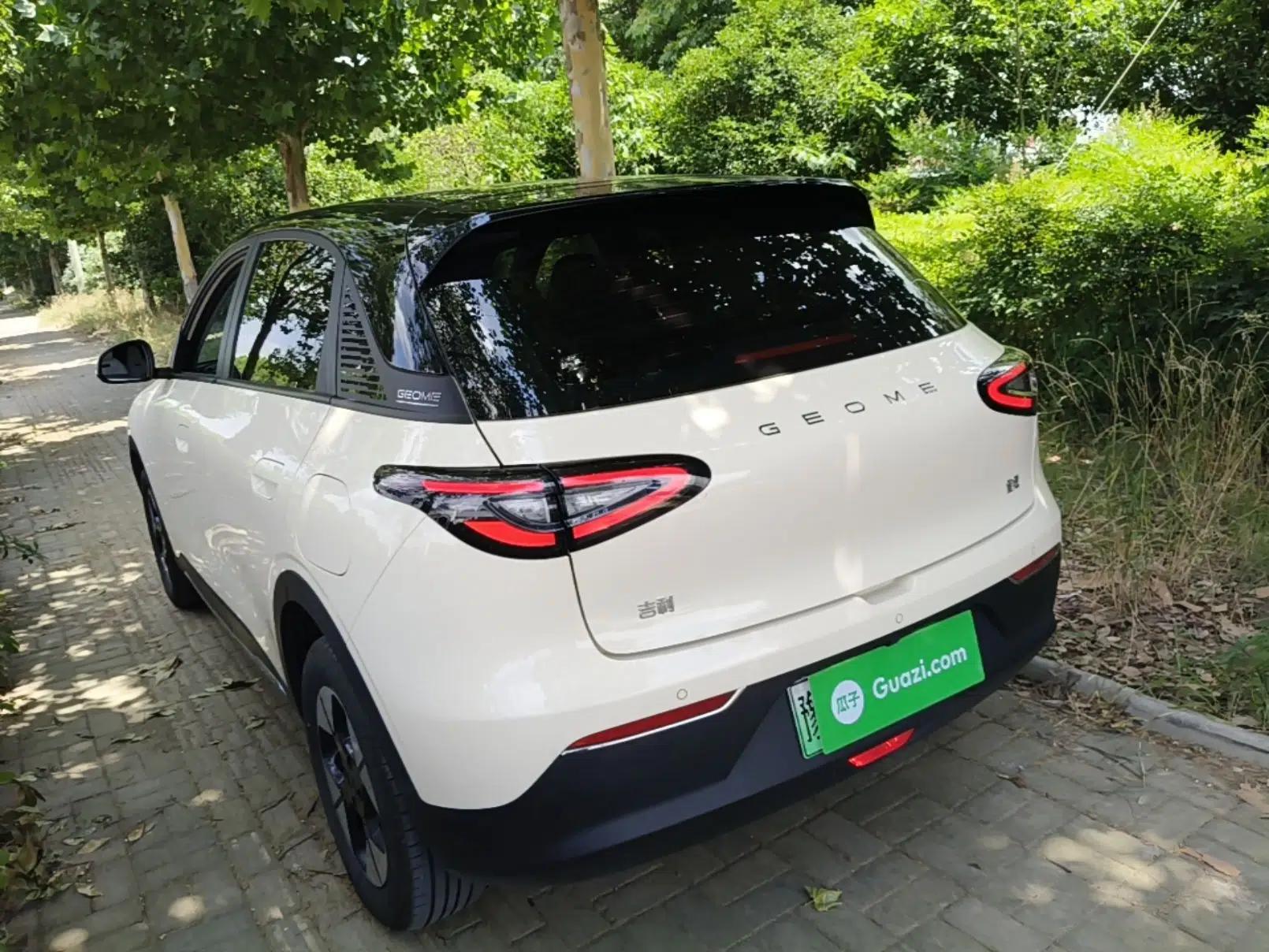 Geely Galaxy Geome 2025 310km Dream Edition — миниатюра 4