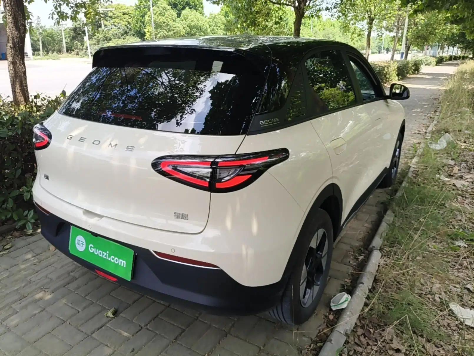 Geely Galaxy Geome 2025 310km Dream Edition — миниатюра 6