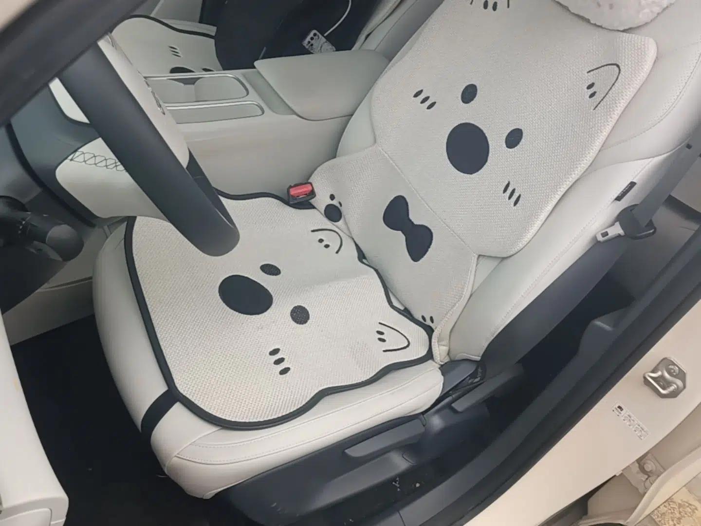 Geely Galaxy Geome 2025 310km Youth Edition — миниатюра 17