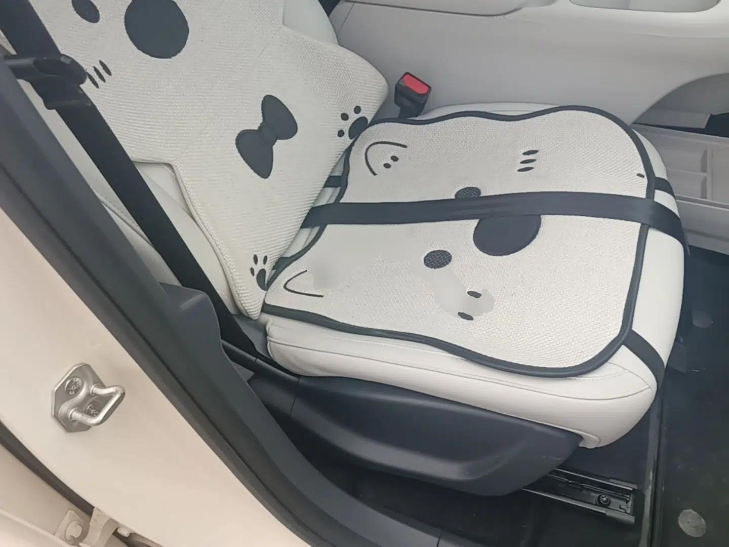 Geely Galaxy Geome 2025 310km Youth Edition — миниатюра 19